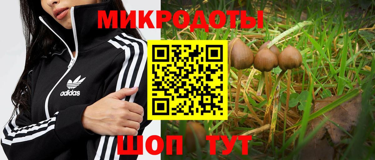Новоуральск  Псилоцибиновые грибы Psilocybine cubensis  как найти закладки  Вход с VPN 
