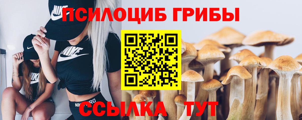 Галлюциногенные грибы Magic Shrooms Новоуральск